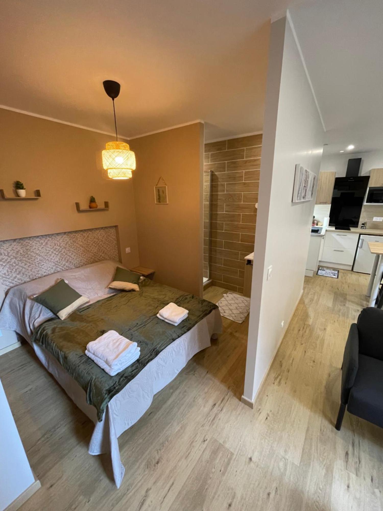 Au 35 Apartment Millau Bagian luar foto